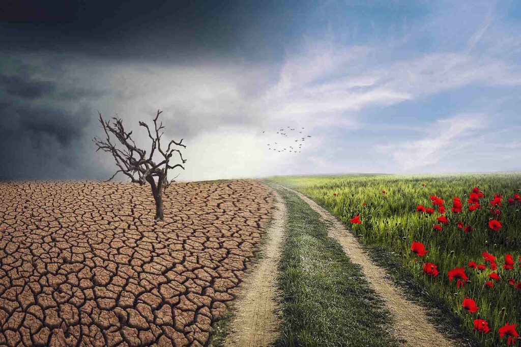 Klimawandel und Klimaschutz