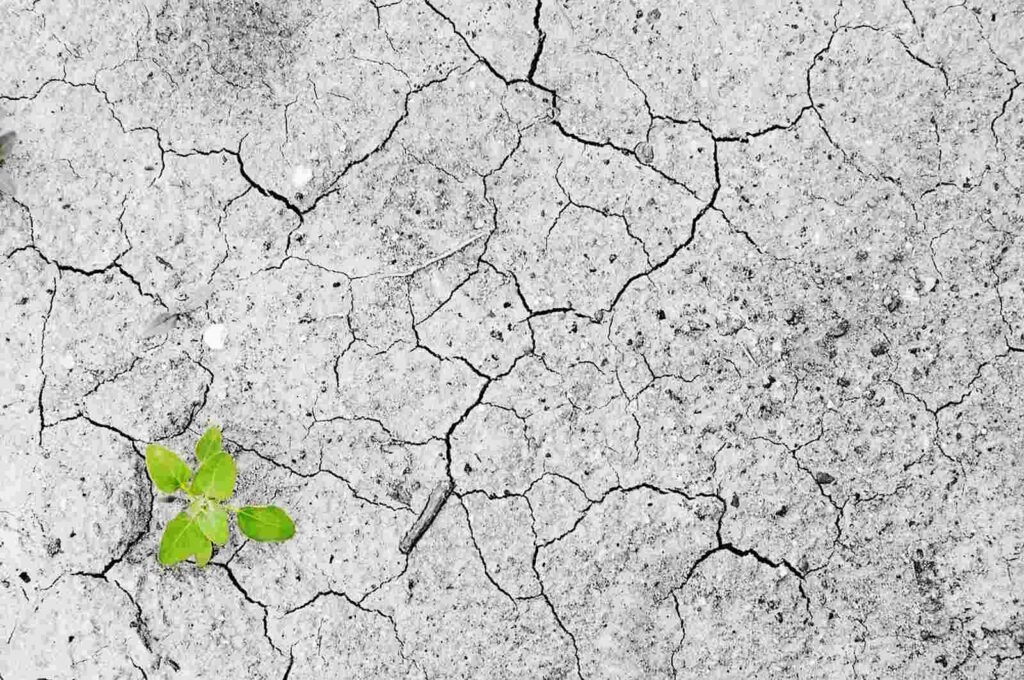 klimawandel zukunft